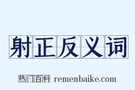 射正反义词是什么意思的图片